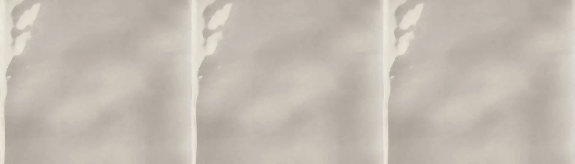 Керамогранит Tonalite Fluid Senecio