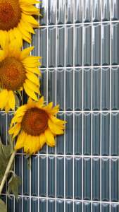 Интерьер 3263870