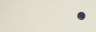 Decoro Point Ivory/Amaranth Crococlassic