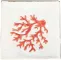 Decoro Corallo Rosso S/2 20x20 2