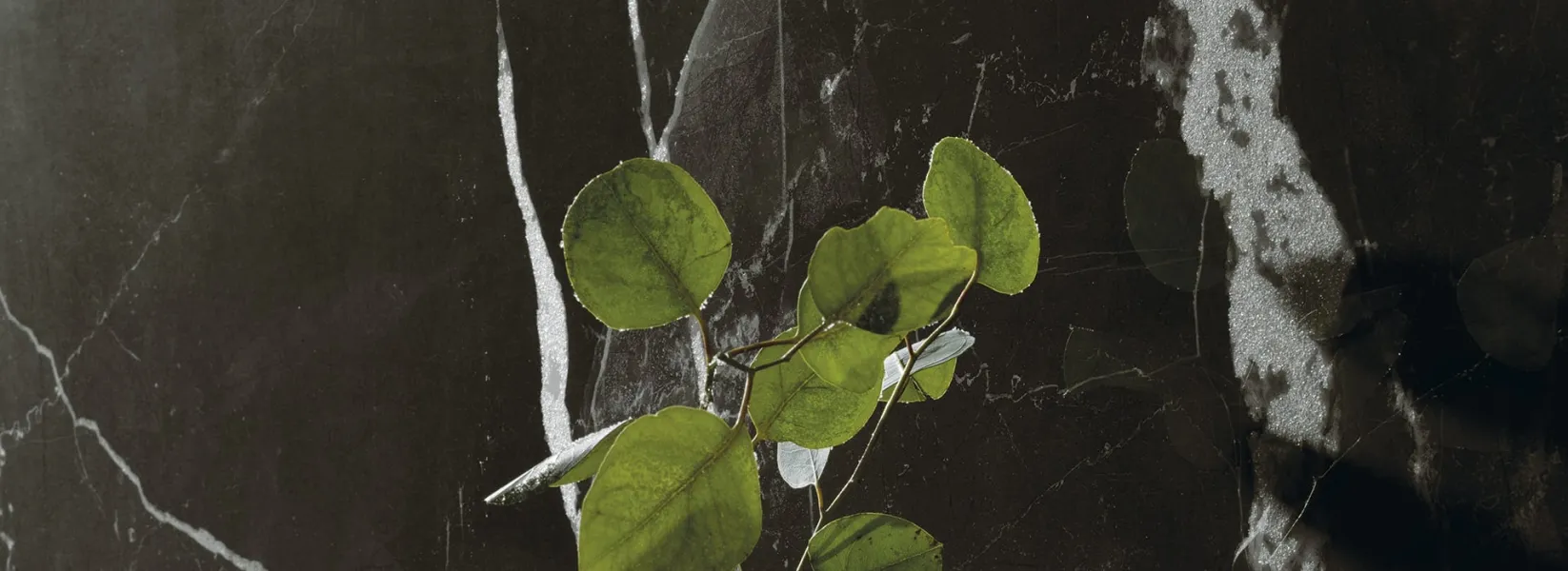 Интерьер 3268793