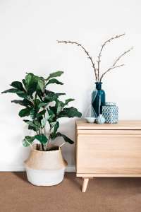 Интерьер 3419565