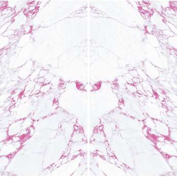 Керамогранит MaxFine by Iris FMG Design Your Slabs Butterfly