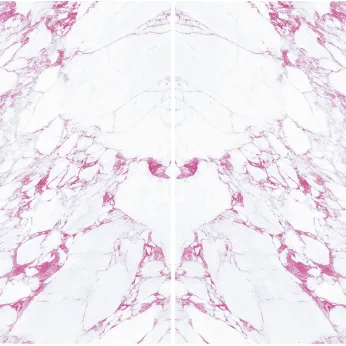 Керамогранит MaxFine by Iris FMG Design Your Slabs Butterfly