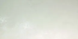 Avorio