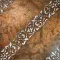 SCROLL Fondo Radica - Decoro Argento 30,5 x 30,5