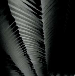 Интерьер 48255