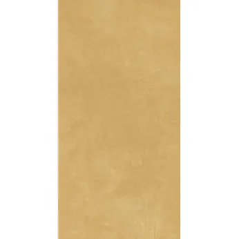 Керамогранит Atlas Concorde Boost Pro Mustard