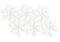 Flower white matt