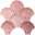 Le Conchiglie Rosa