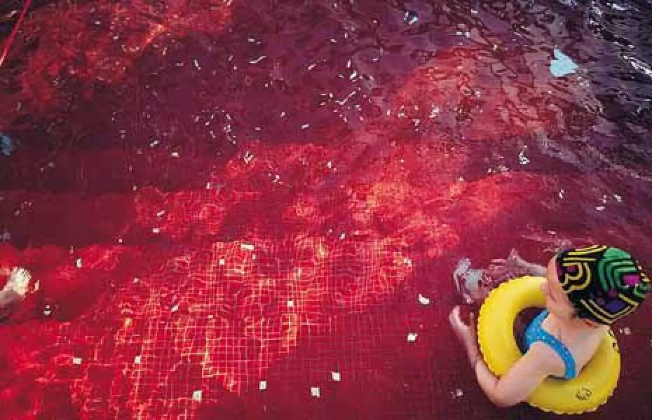 Интерьер 39066