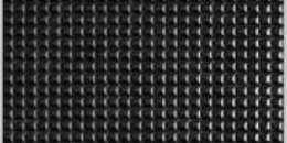 BLACK (04)