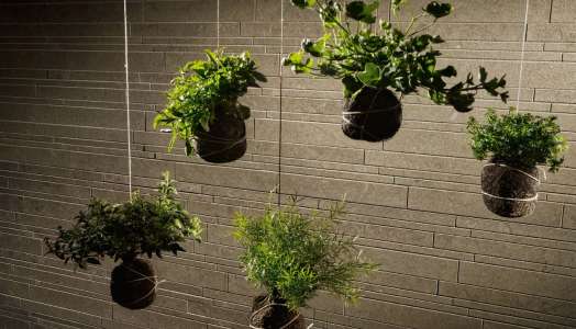 Интерьер 50294