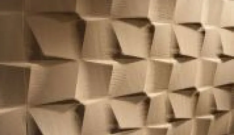 Evolution - Petra Antiqua