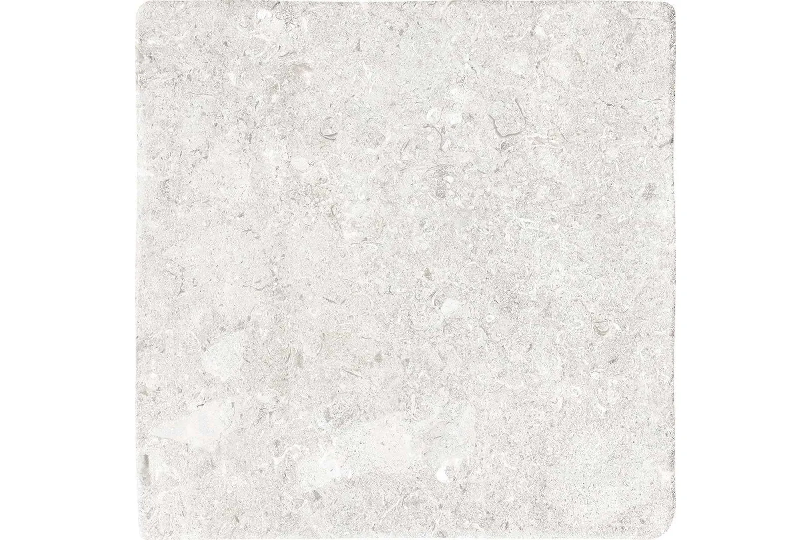 Керамогранит Terratinta Ceramiche Vicentina XXS Bianco