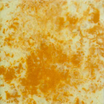 Керамогранит Pecchioli Firenze (Пеккиоли Фирензе) Dei Chini Sat 47