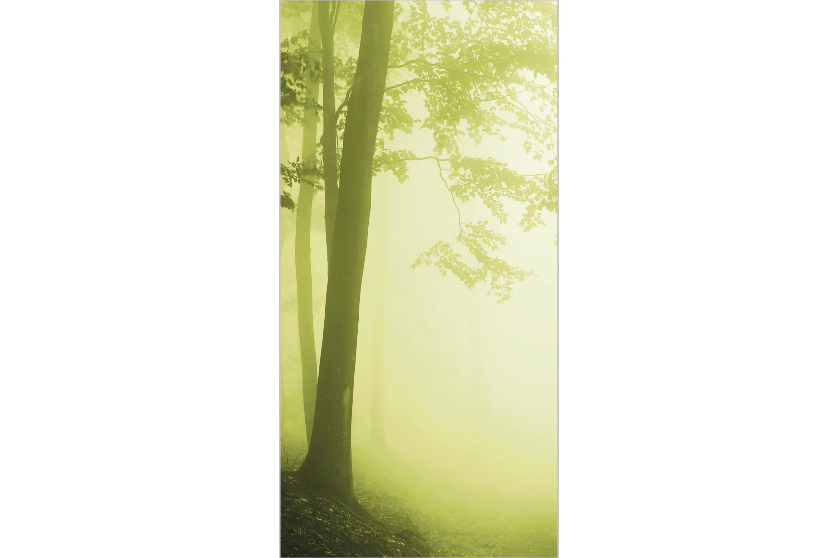 Керамогранит MaxFine by Iris FMG Design Your Slabs Foggy Yellow