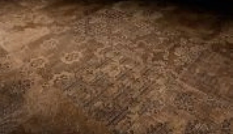 Surfaces 1 - Petra Antiqua