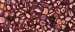 Claret Gold