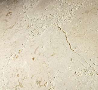 Интерьер 50142