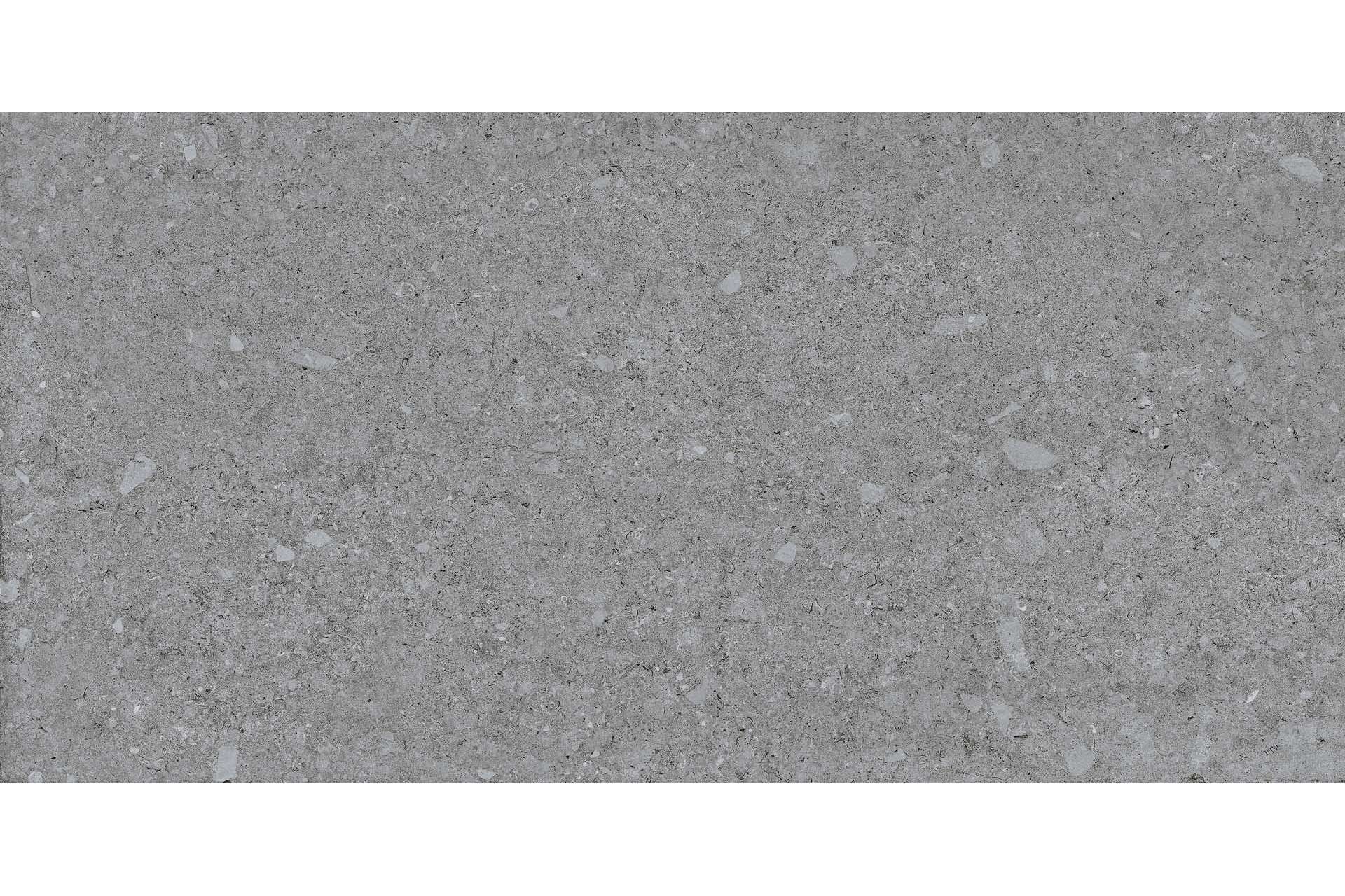 Керамогранит Terratinta Ceramiche Vicentina Cenere