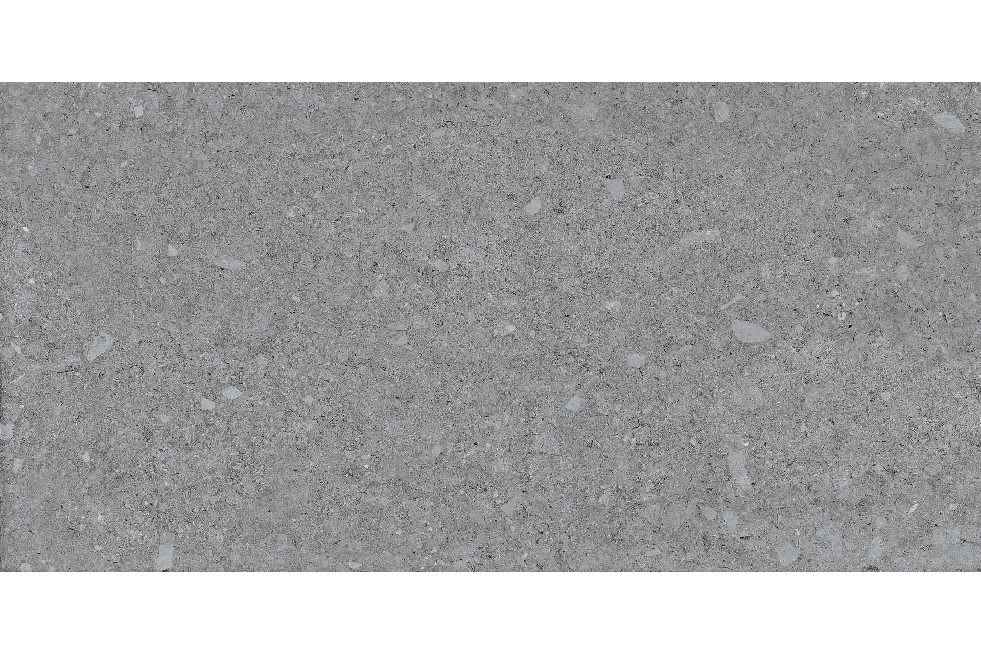 Керамогранит Terratinta Ceramiche Vicentina Cenere