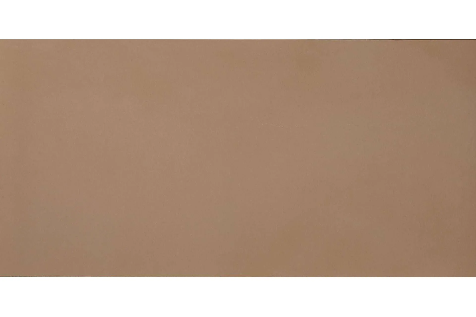 Керамогранит Casalgrande Padana R-Evolution Terra