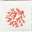 Decoro Corallo Rosso S/2 20x20 2