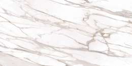 Calacatta Gold Canova