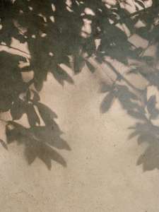 Интерьер 3133041