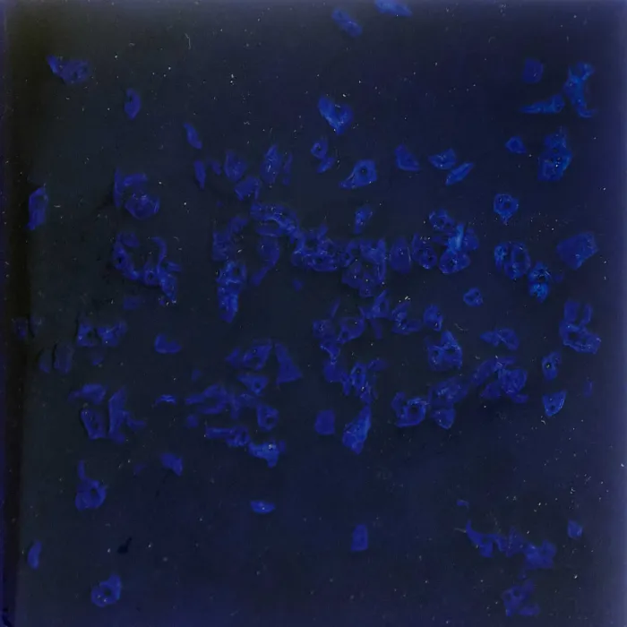 Керамогранит Pecchioli Firenze (Пеккиоли Фирензе) Gres Artistico Fondo Lus 79