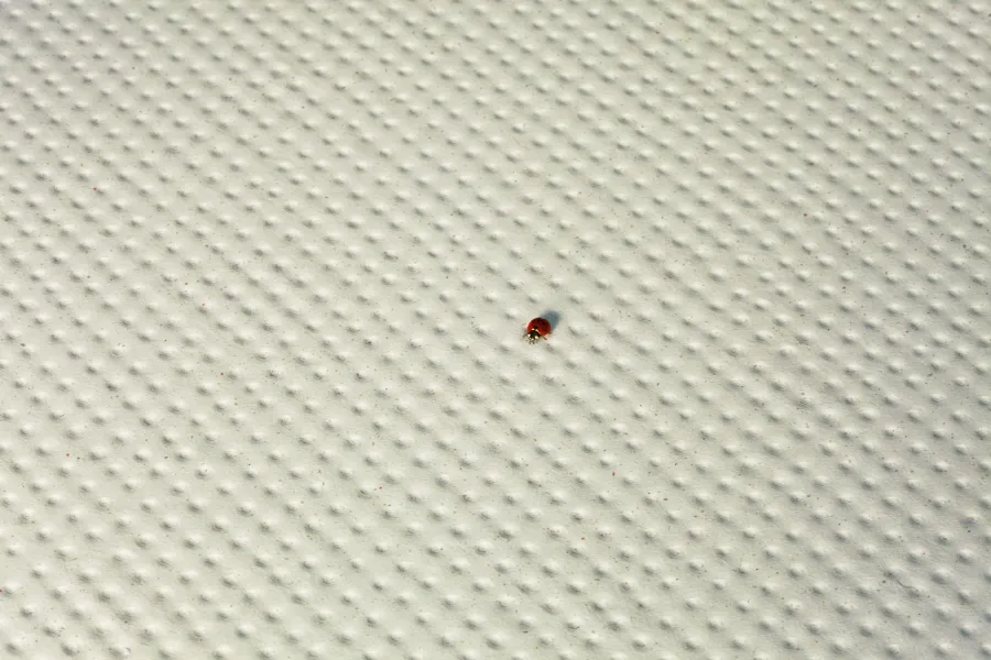 Интерьер 3126118