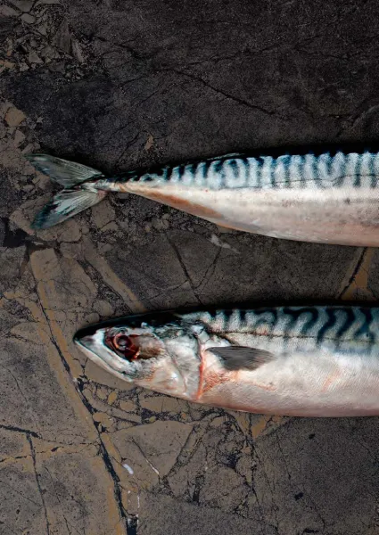 Интерьер 3102558