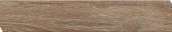 Wood Arrow Nutmeg SX