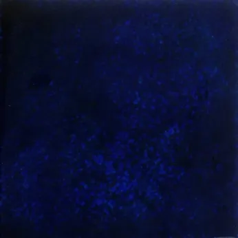 Керамогранит Pecchioli Firenze (Пеккиоли Фирензе) Gres Artistico Fondo Fan 7