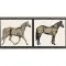 Horses Su Panna (Хорсес Су Пана)