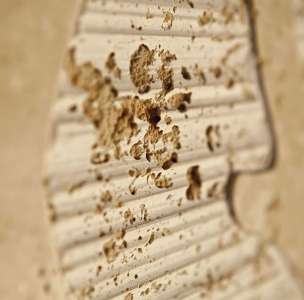 Интерьер 49817