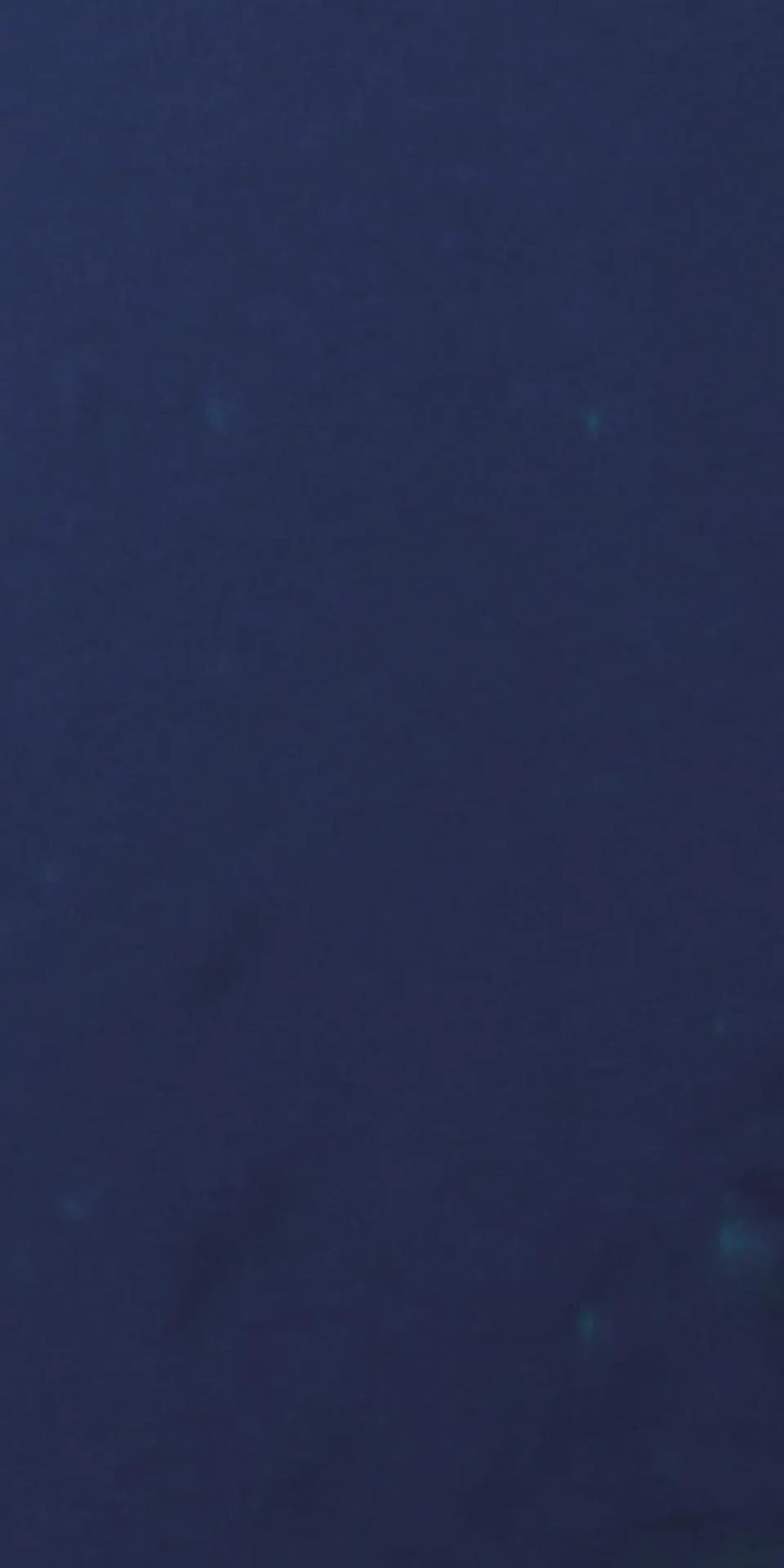 Керамогранит MaxFine by Iris FMG Design Your Slabs Coral Reef Fish