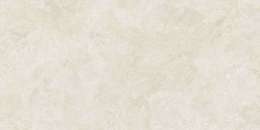 Bone
