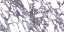 Calacatta Viola Bookmatch B