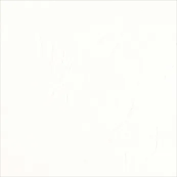 Керамогранит Cerasarda Abitare la Terra Bianco Rodo