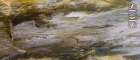 Lignin