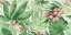 Rainforest B