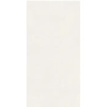 Керамогранит Imola Ceramica Retina Neve Pat