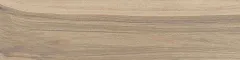 Beige Digue (Беж Дига)