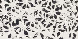 Bloom white