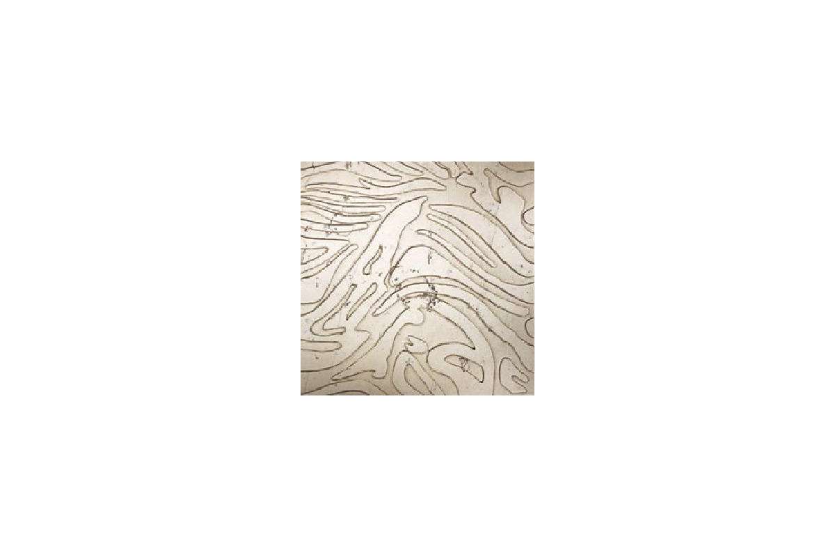 Мрамор Petra Antiqua Lacche 1 Wave Fondo Naturale - Decoro Biancone 30,5 X 30,5