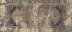 Dys Distressed Rug Brown