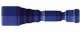 Terminale Ang Term Dark Cobalt Cr
