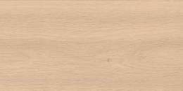 Bright Oak